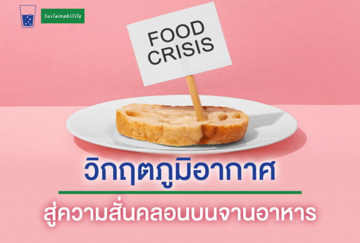 วิกฤตภูมิอากาศ